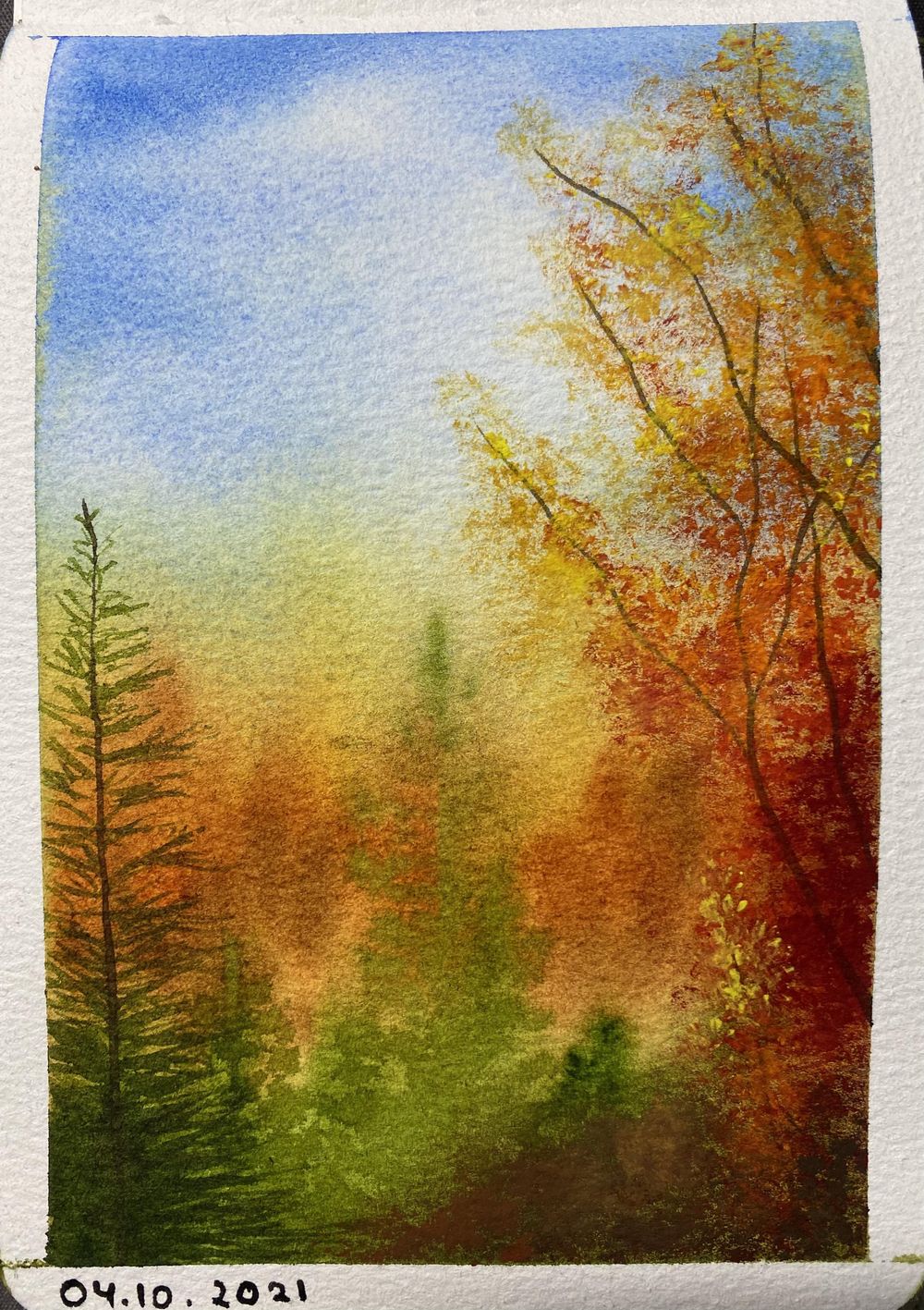 31 days of autumn - image 14 - student project