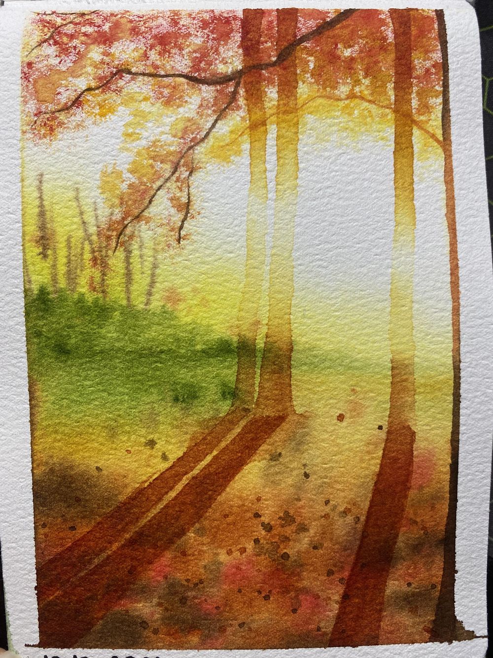 31 days of autumn - image 10 - student project