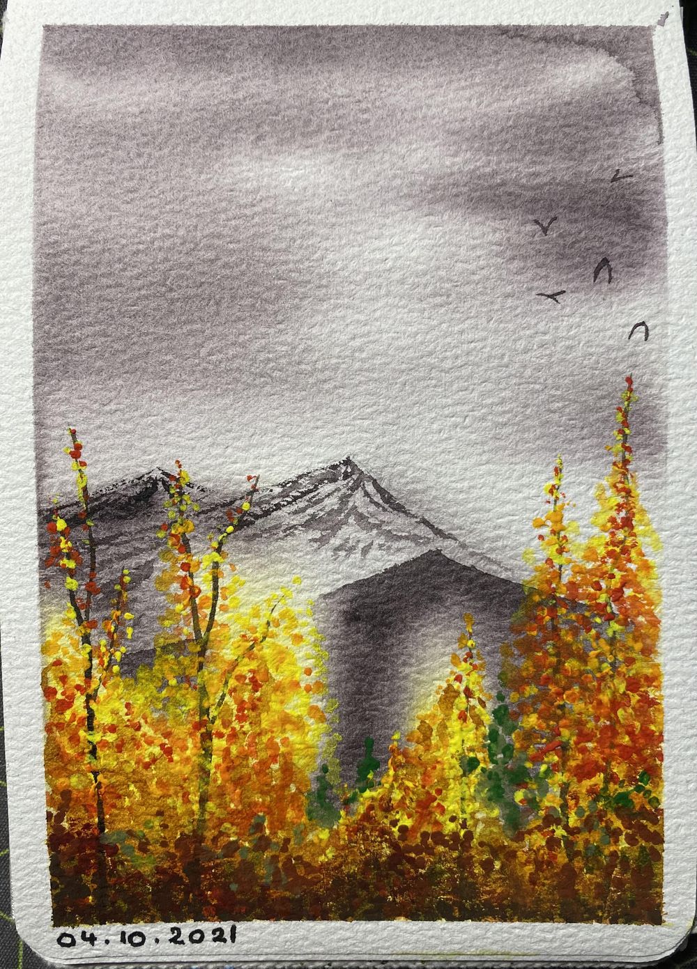 31 days of autumn - image 15 - student project