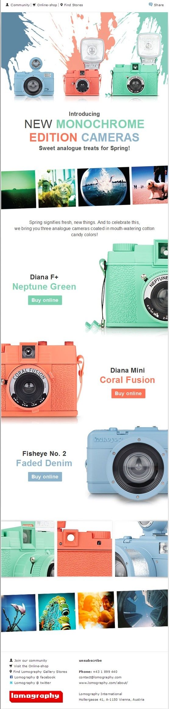 lomography international - Great Email Example - image 1 - student project