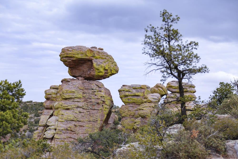 Rock and Bushes - image 2 - student project