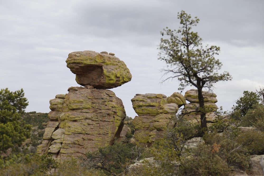 Rock and Bushes - image 1 - student project