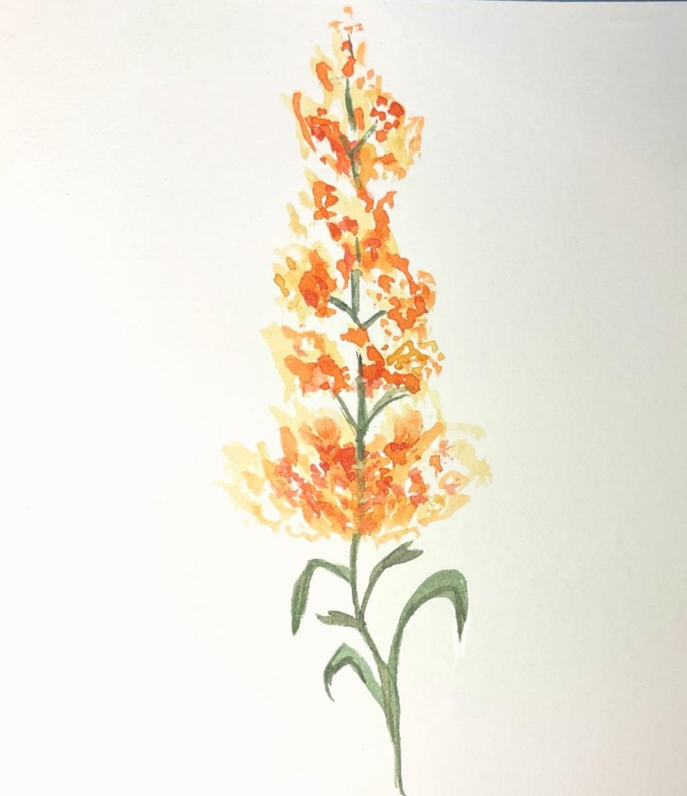 Pretty Flowers - image 2 - student project