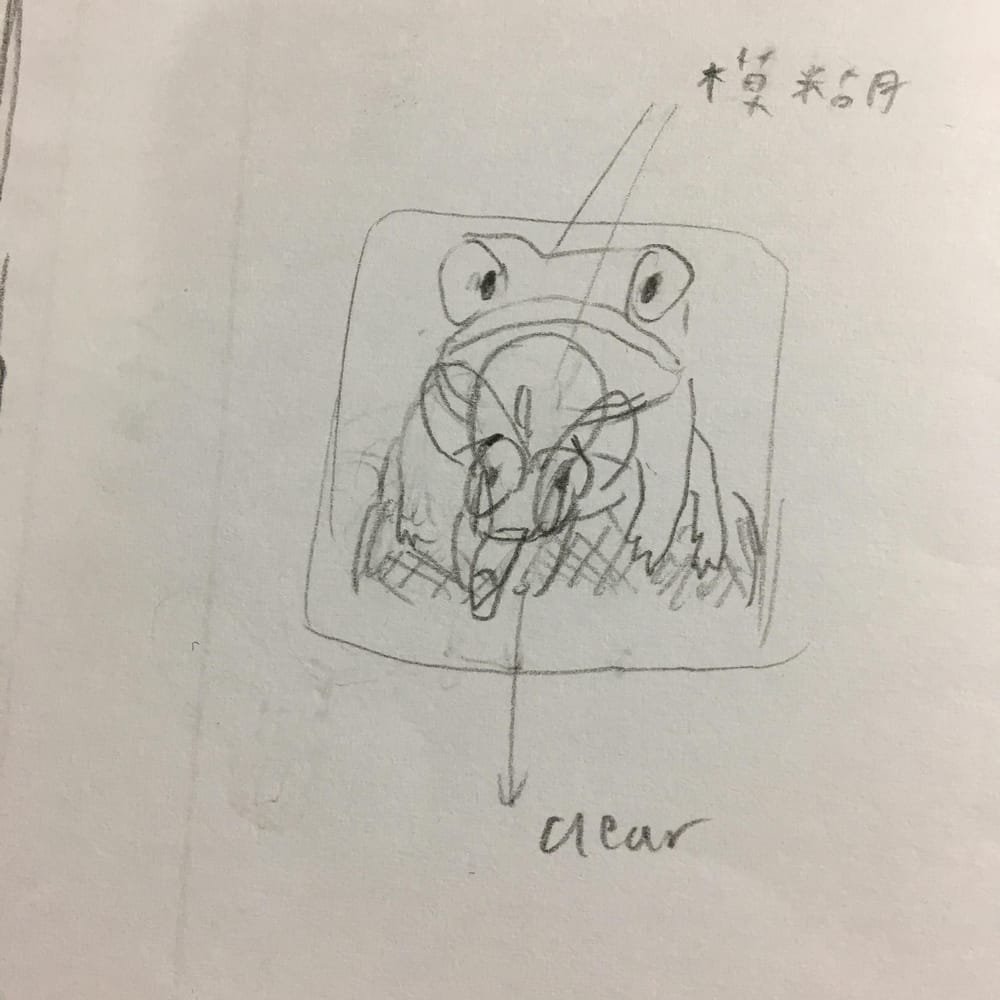 Frog and Insect - image 1 - student project