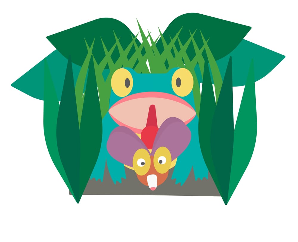 Frog and Insect - image 3 - student project