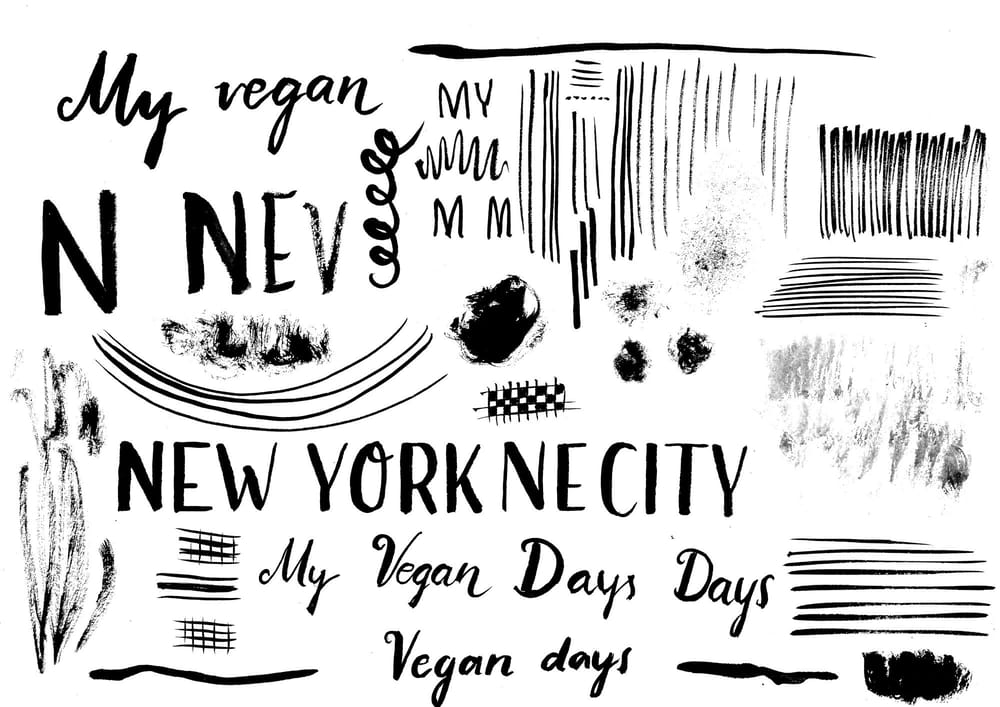 My Vegan Days in New York City - image 4 - student project