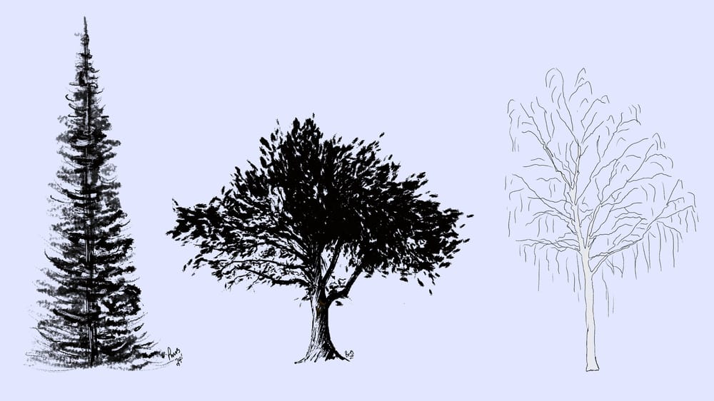 Trees - image 2 - student project