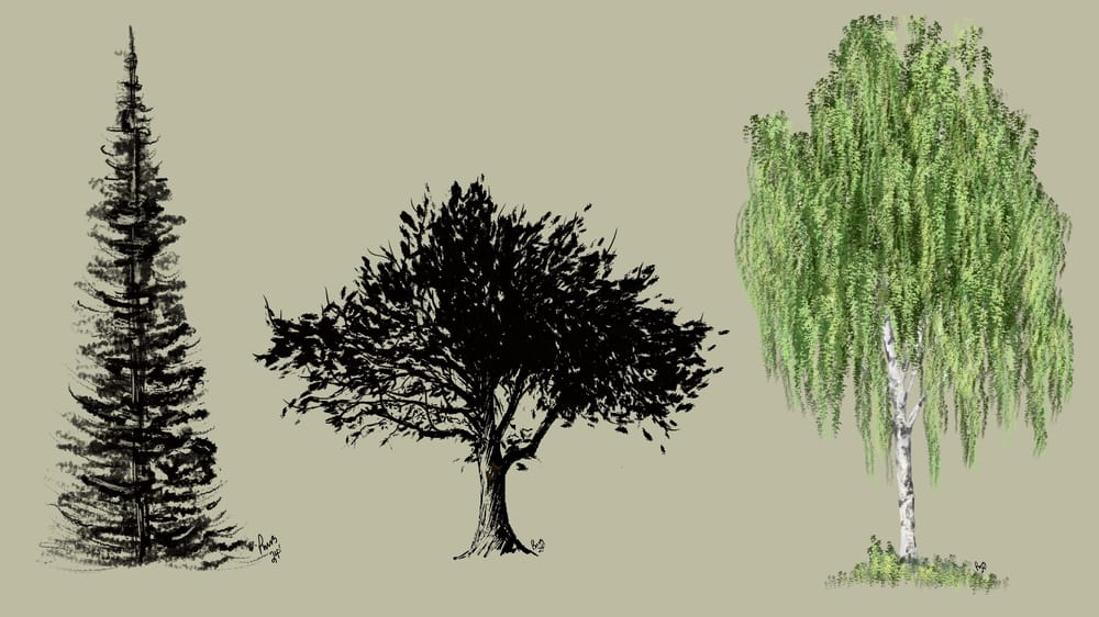 Trees - image 1 - student project