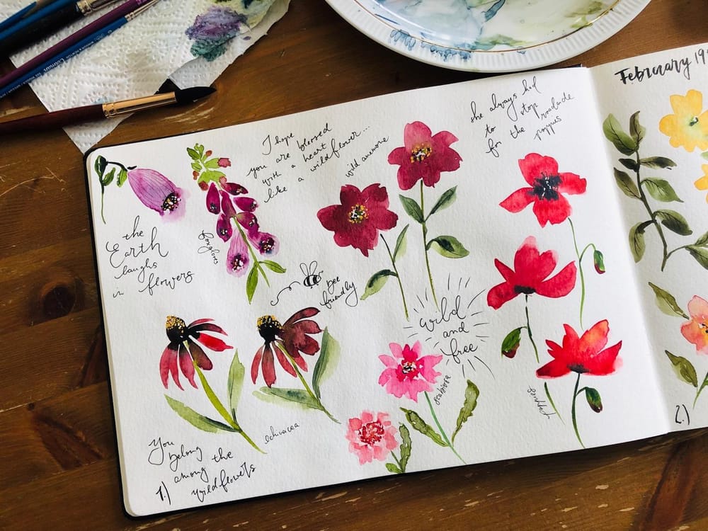 Wildflower studies - image 1 - student project