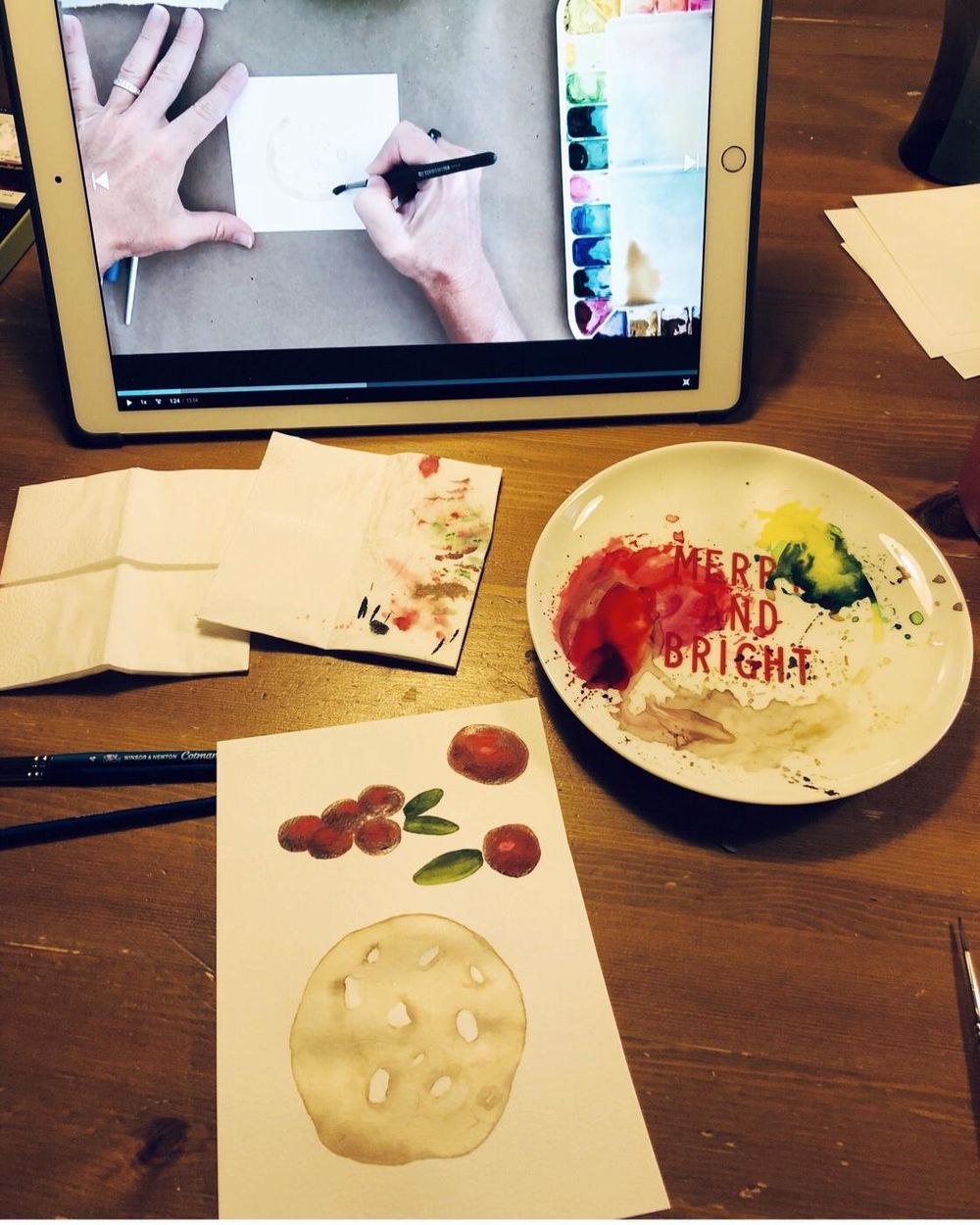 Tasty Treats: Watercolor Cranberry Bites - image 1 - student project