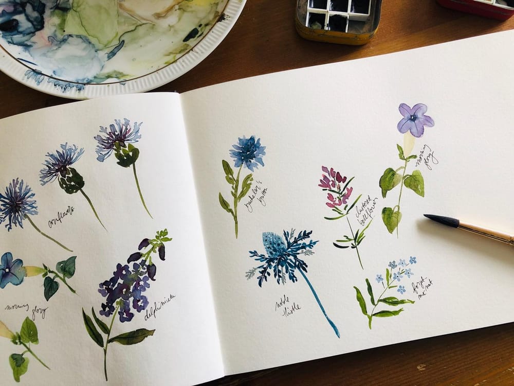 Wildflower studies - image 4 - student project