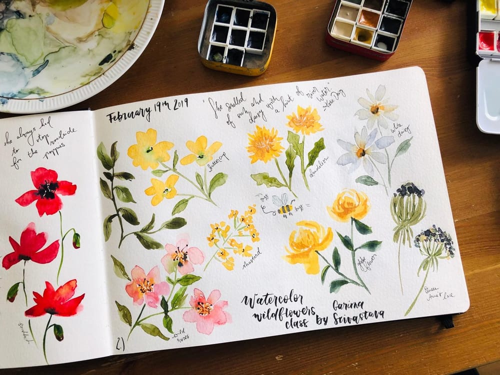 Wildflower studies - image 2 - student project