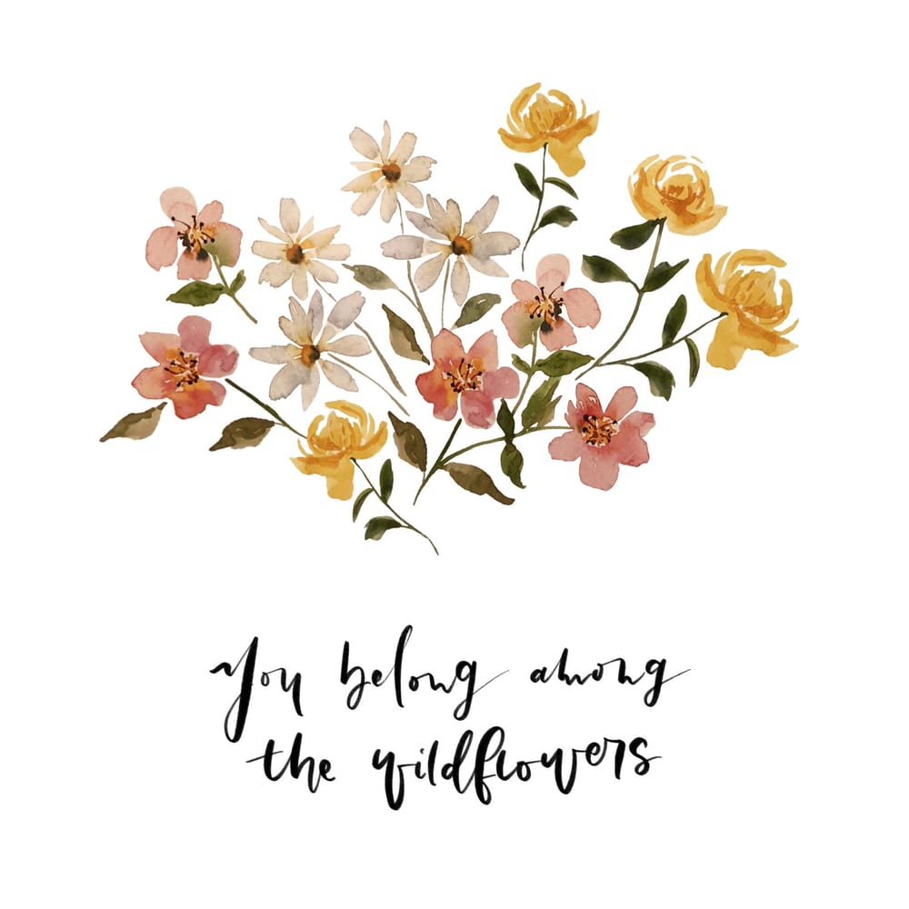 Wildflower studies - image 7 - student project