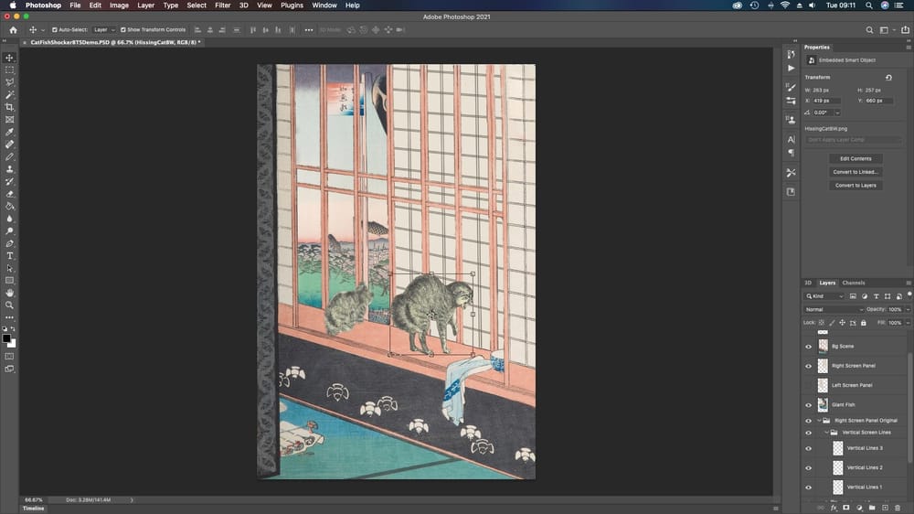 Cat Shocker Animated Gif Using Copyright Free Public Domain Images - image 2 - student project