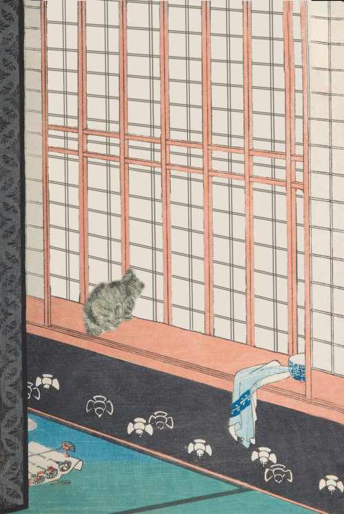 Cat Shocker Animated Gif Using Copyright Free Public Domain Images - image 1 - student project