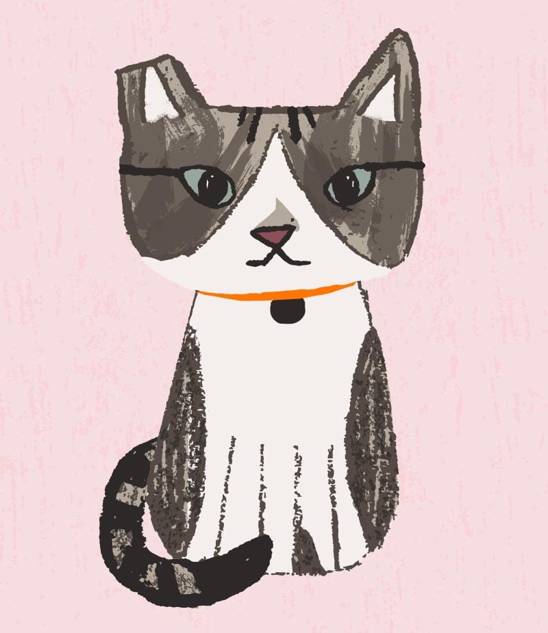 draw my cat - image 3 - student project