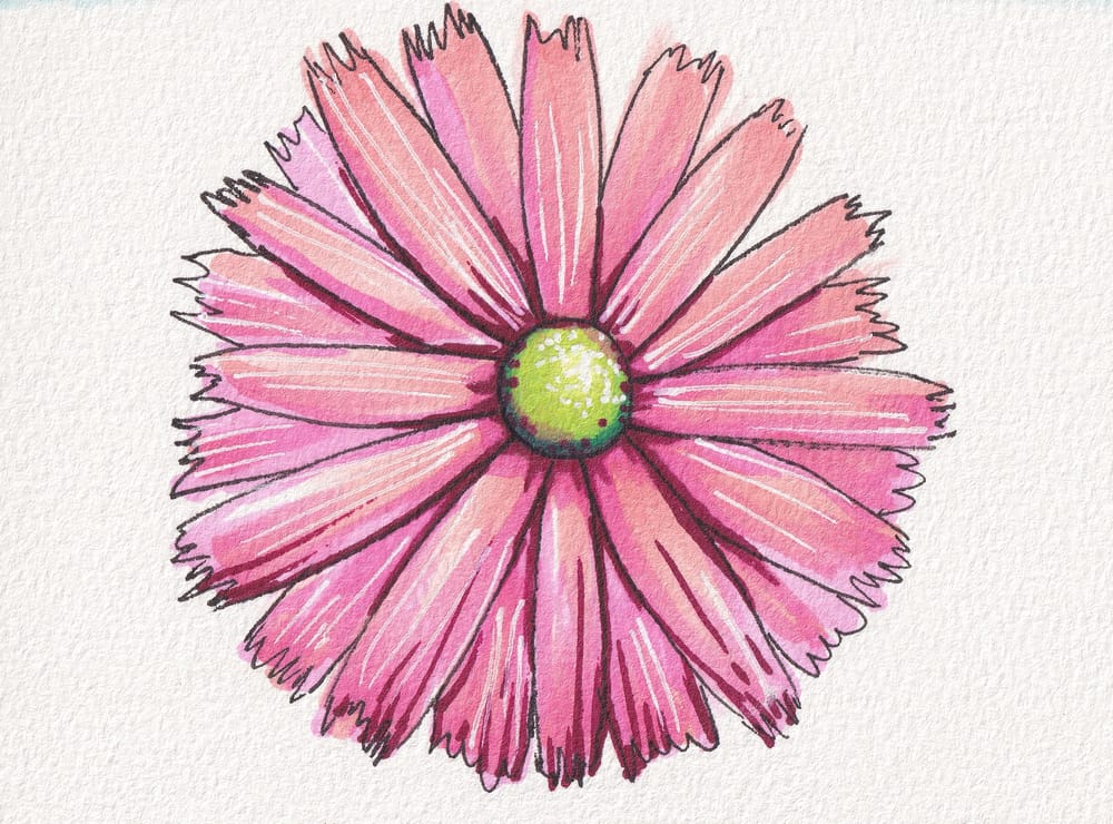 Not a copic - image 4 - student project