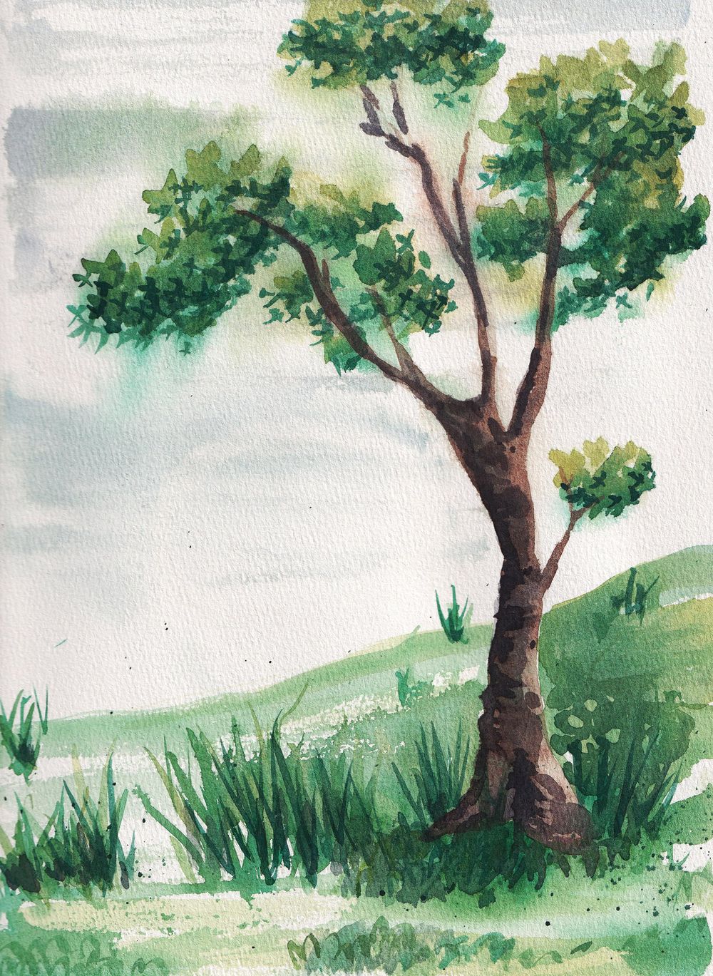 Moxivux trees - image 3 - student project