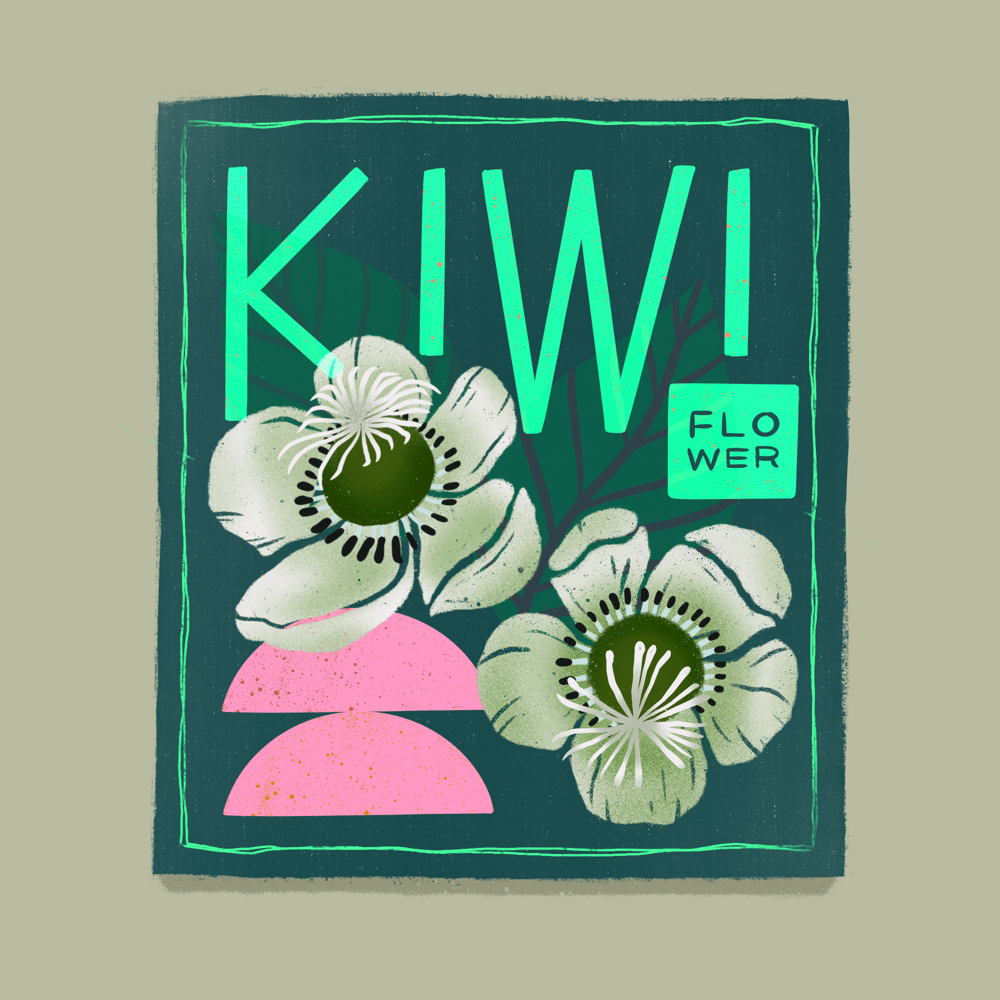 Seed Packet Illustrations - image 10 - student project