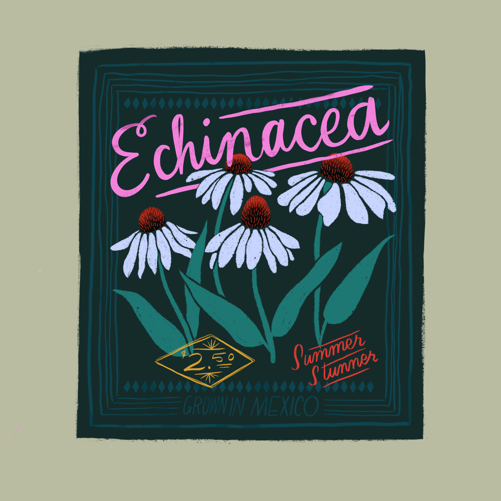 Seed Packet Illustrations - image 6 - student project