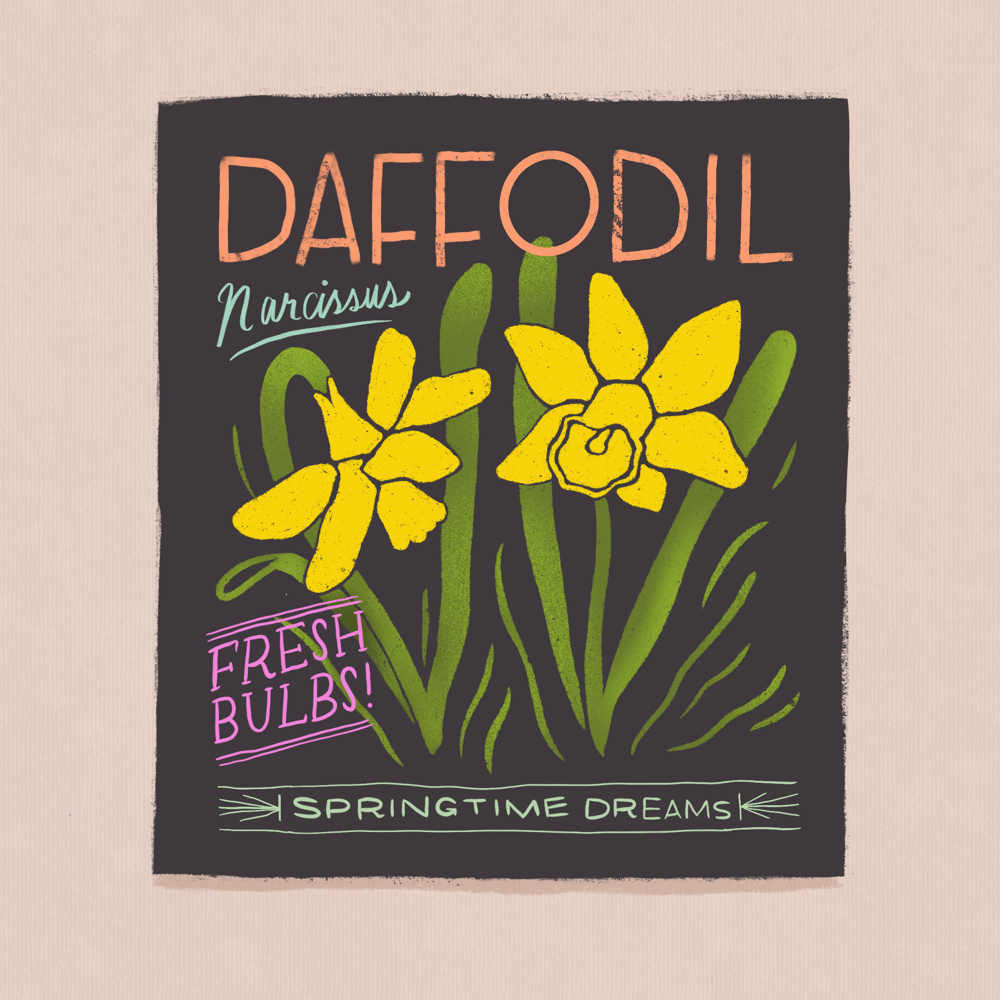 Seed Packet Illustrations - image 5 - student project