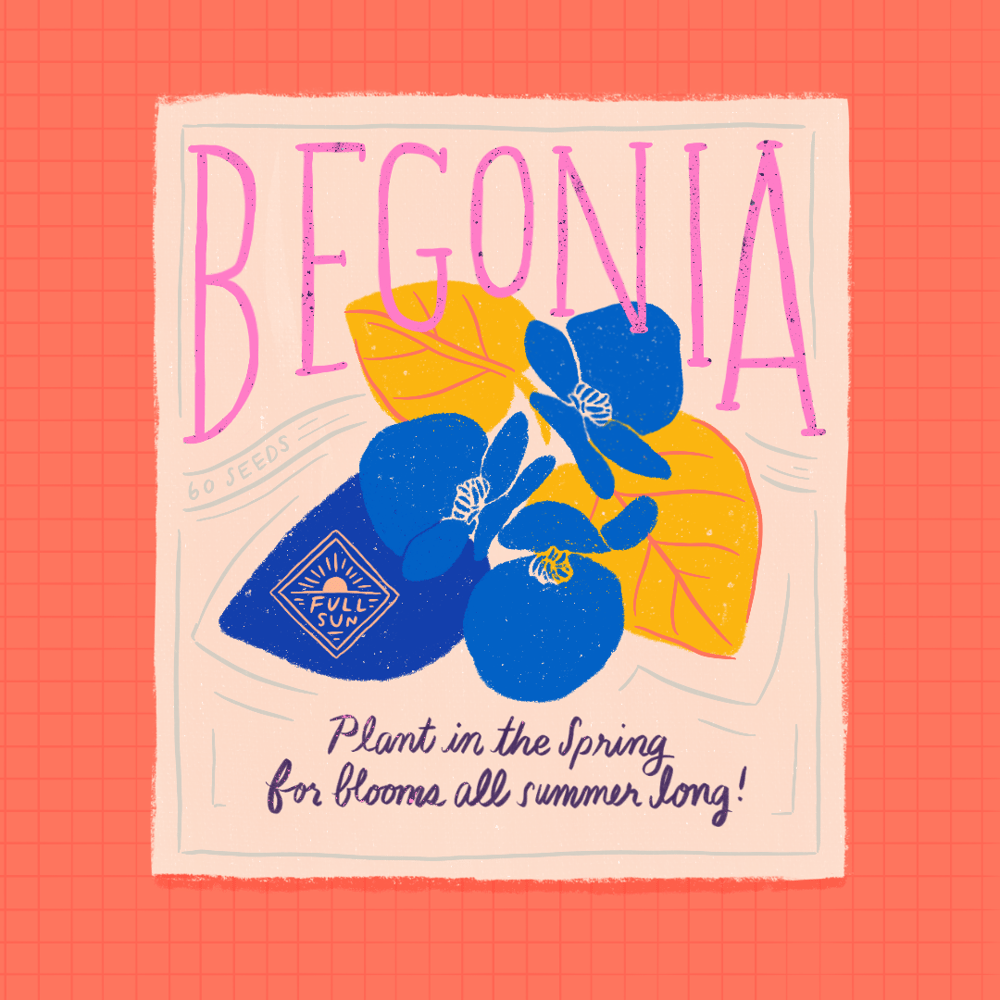 Seed Packet Illustrations - image 3 - student project