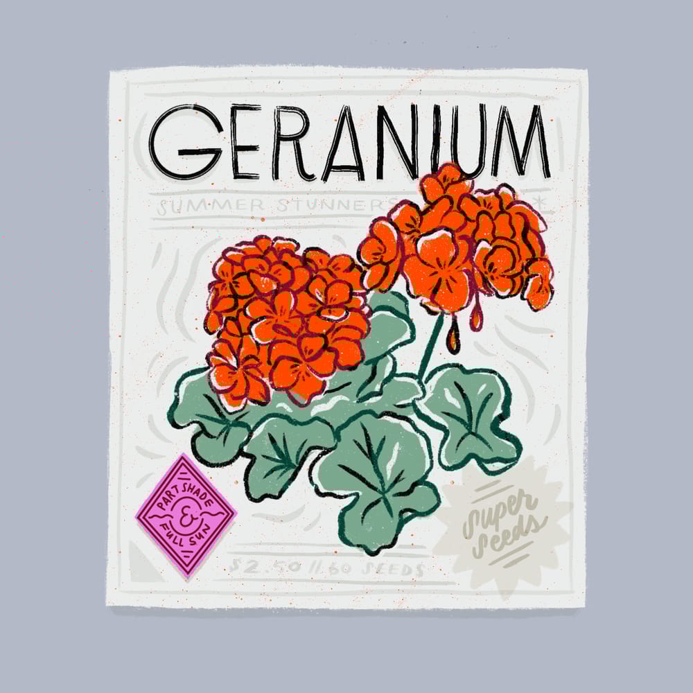 Seed Packet Illustrations - image 7 - student project