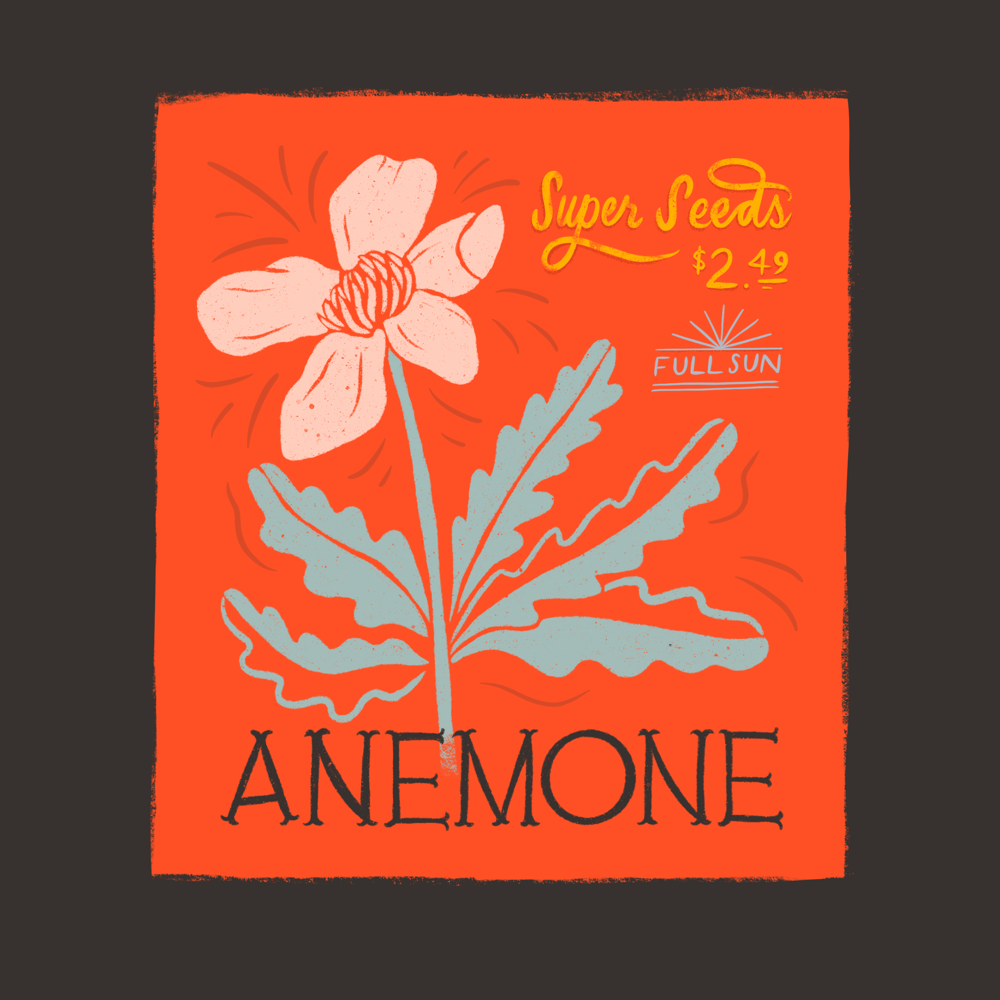 Seed Packet Illustrations - image 2 - student project