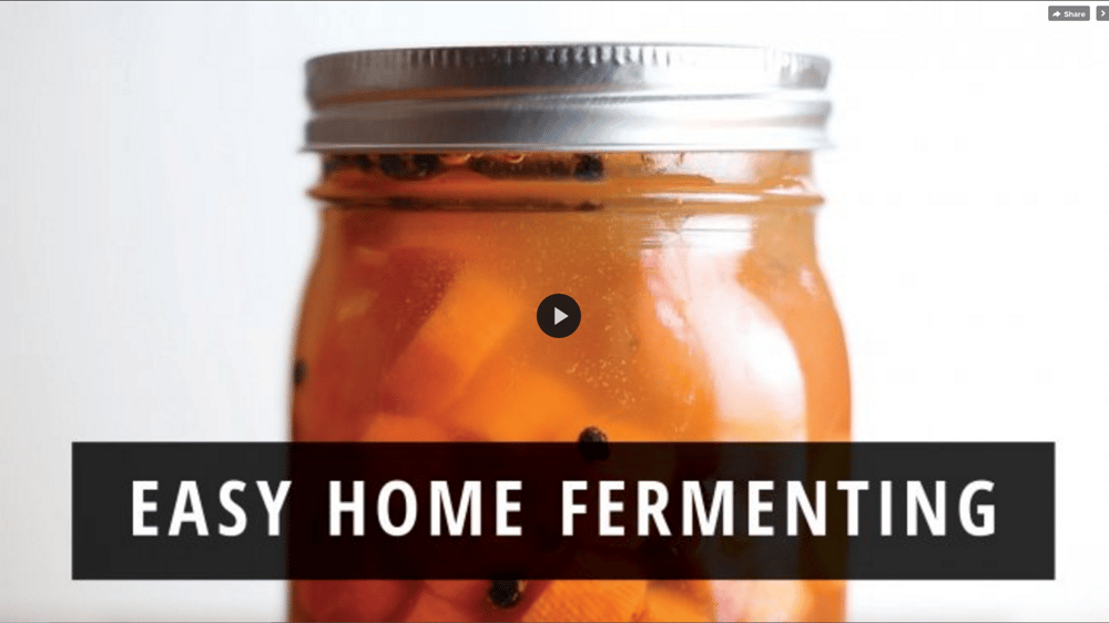 First Skillshare course! Easy Home Fermenting: Preserving Vegetables with Healthy Probiotics - image 1 - student project
