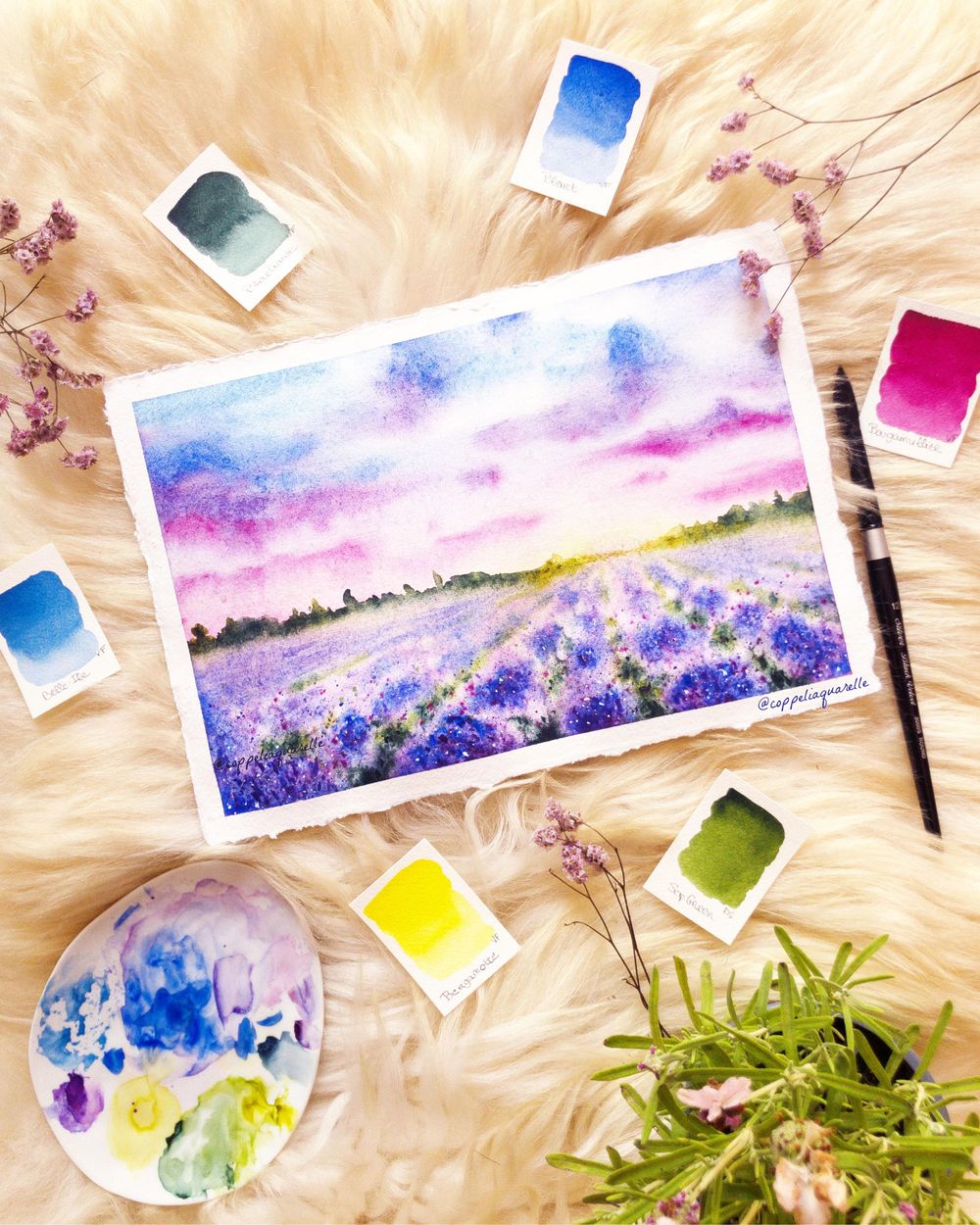 My first lavender field - image 1 - student project