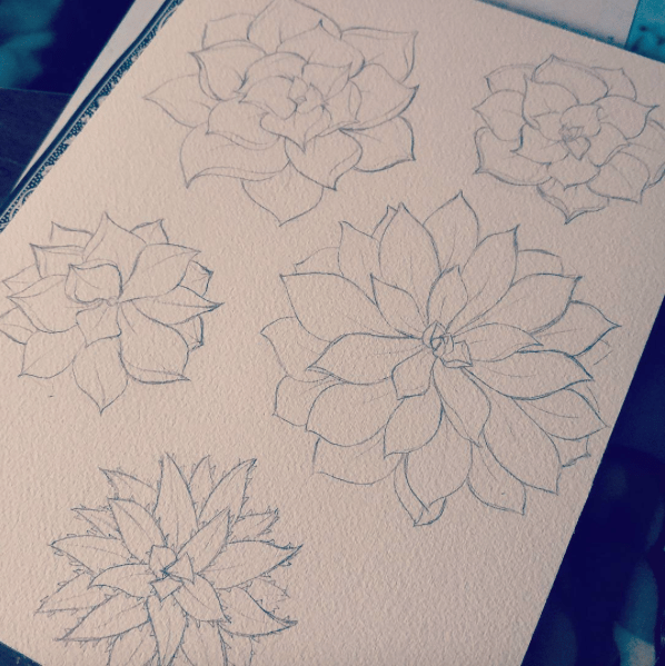 Colorful Succulents - image 3 - student project