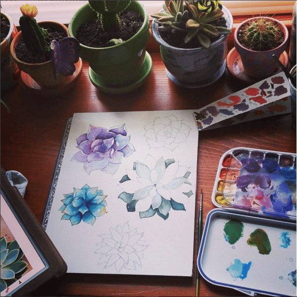 Colorful Succulents - image 5 - student project