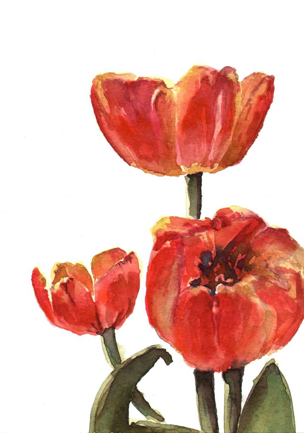 Jill's Tulip Painting - image 1 - student project