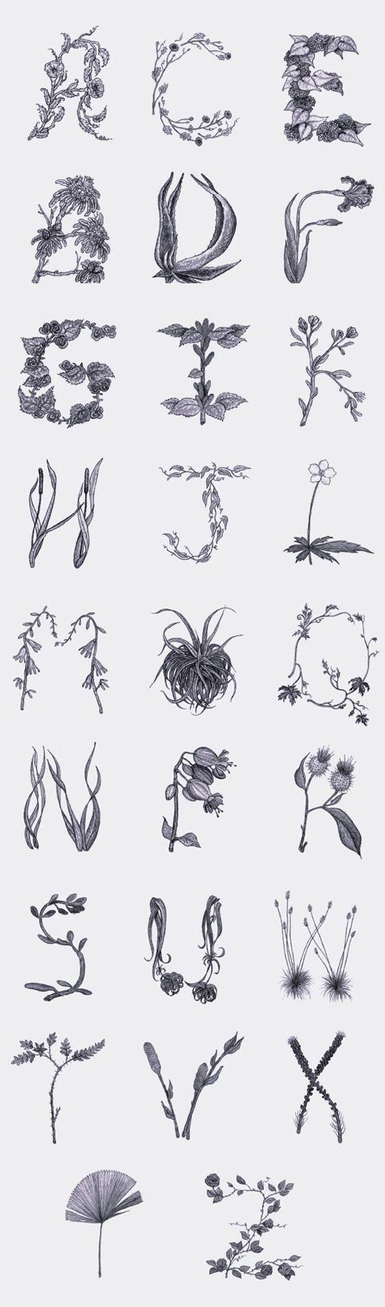 Prickly Type - image 1 - student project