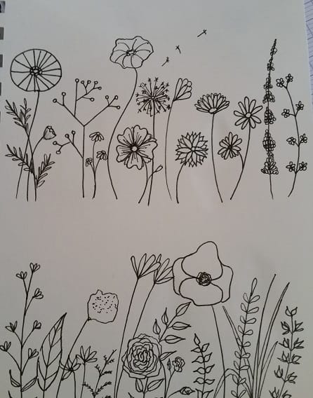 Linedrawings with and without color - image 1 - student project