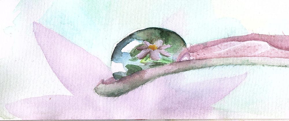 Watercolor Project - image 3 - student project