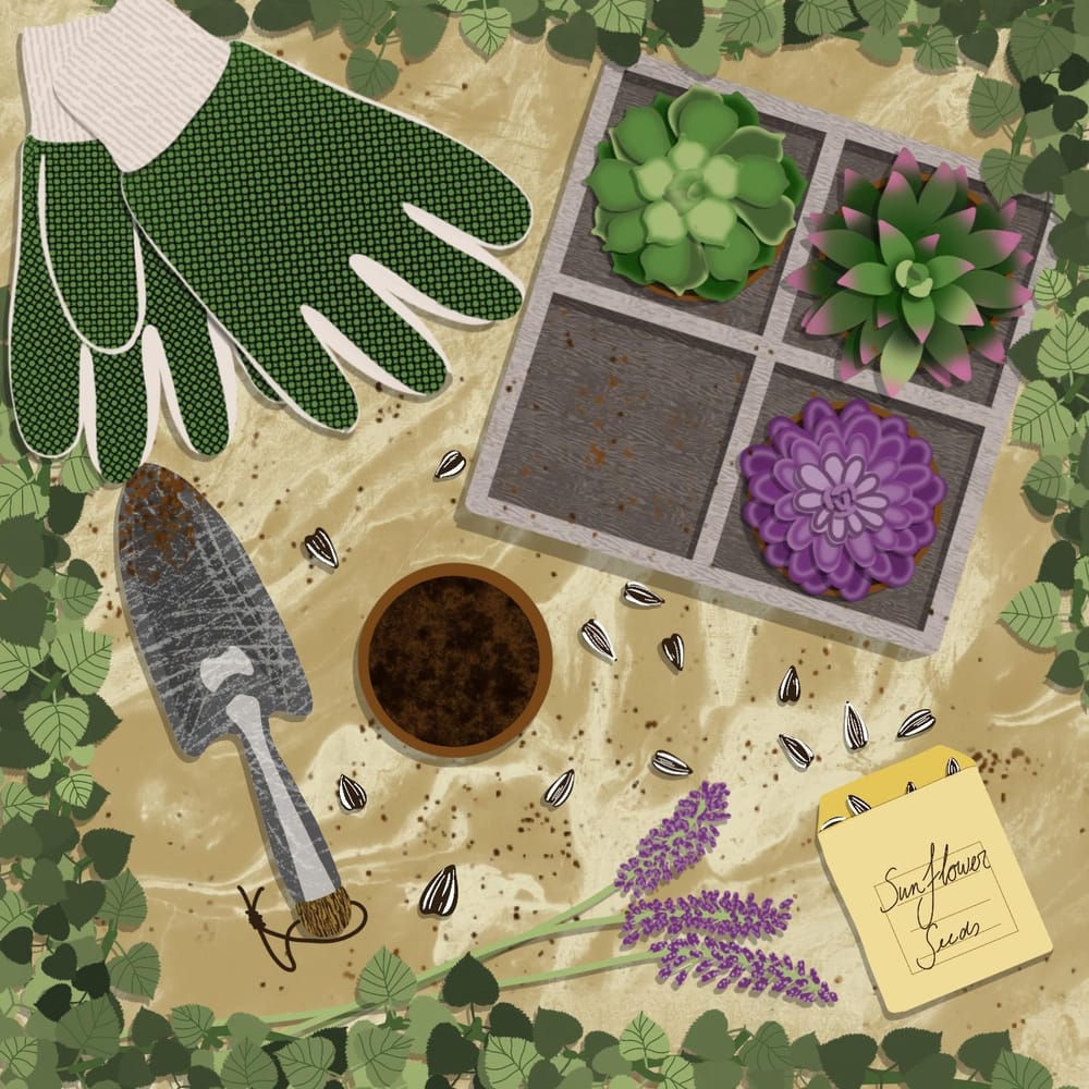 Flatlay illustrations - image 1 - student project