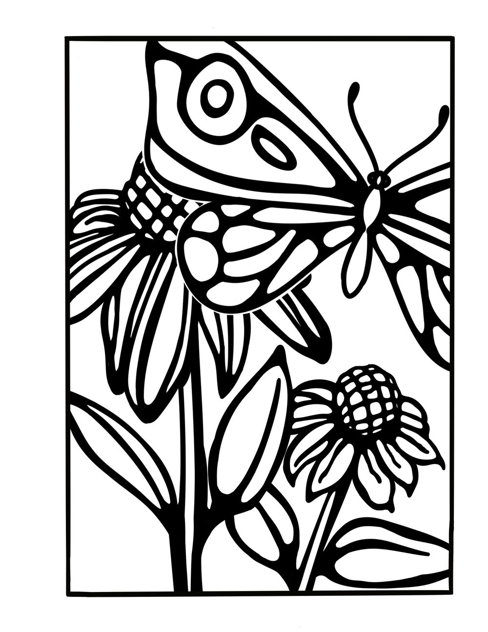 Butterflies up close - image 2 - student project
