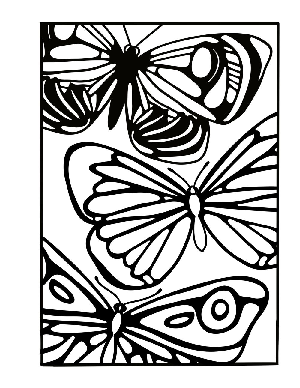 Butterflies up close - image 1 - student project