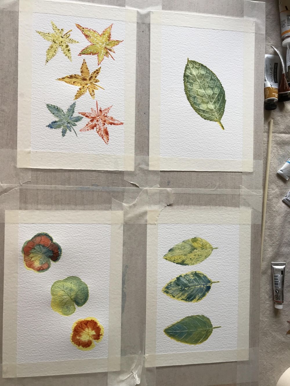 Leaves - image 3 - student project