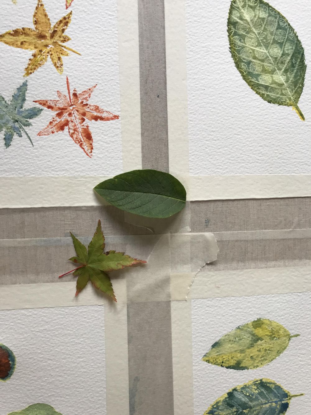 Leaves - image 2 - student project