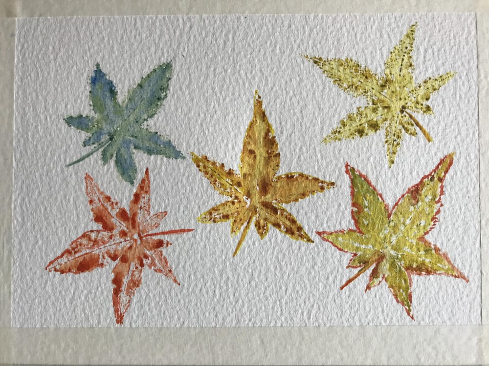 Leaves - image 4 - student project
