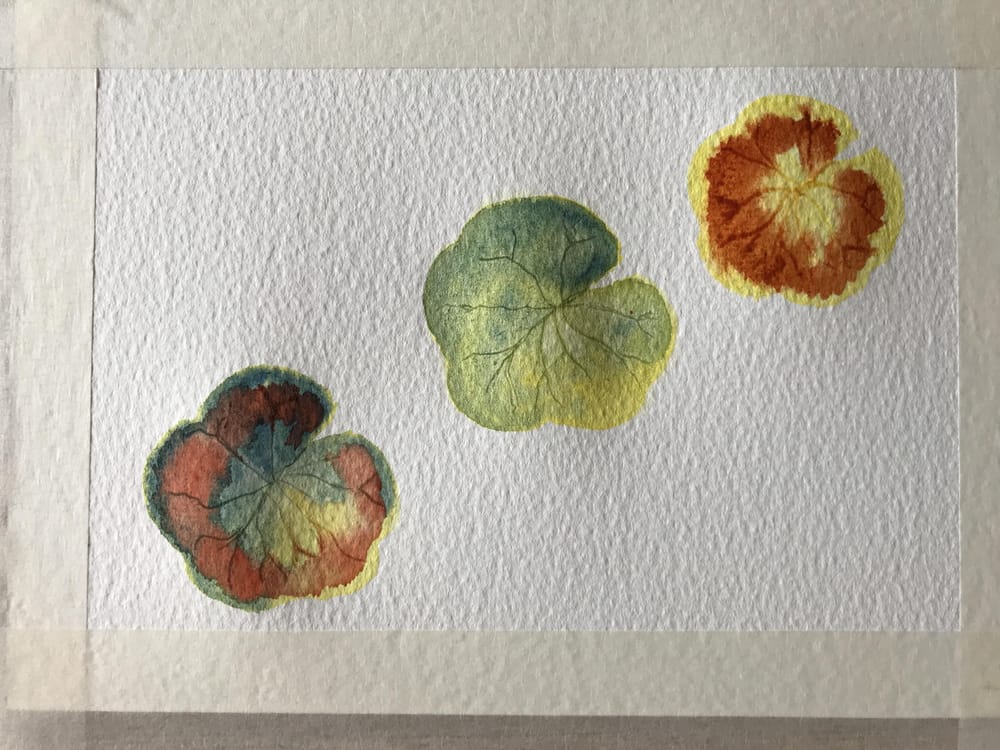 Leaves - image 6 - student project