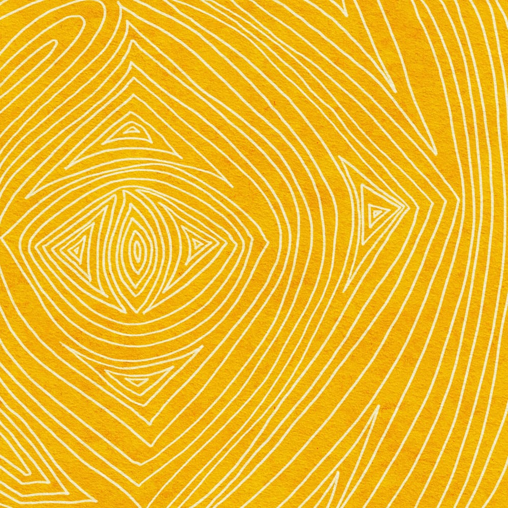 14 days of shapes - image 1 - student project