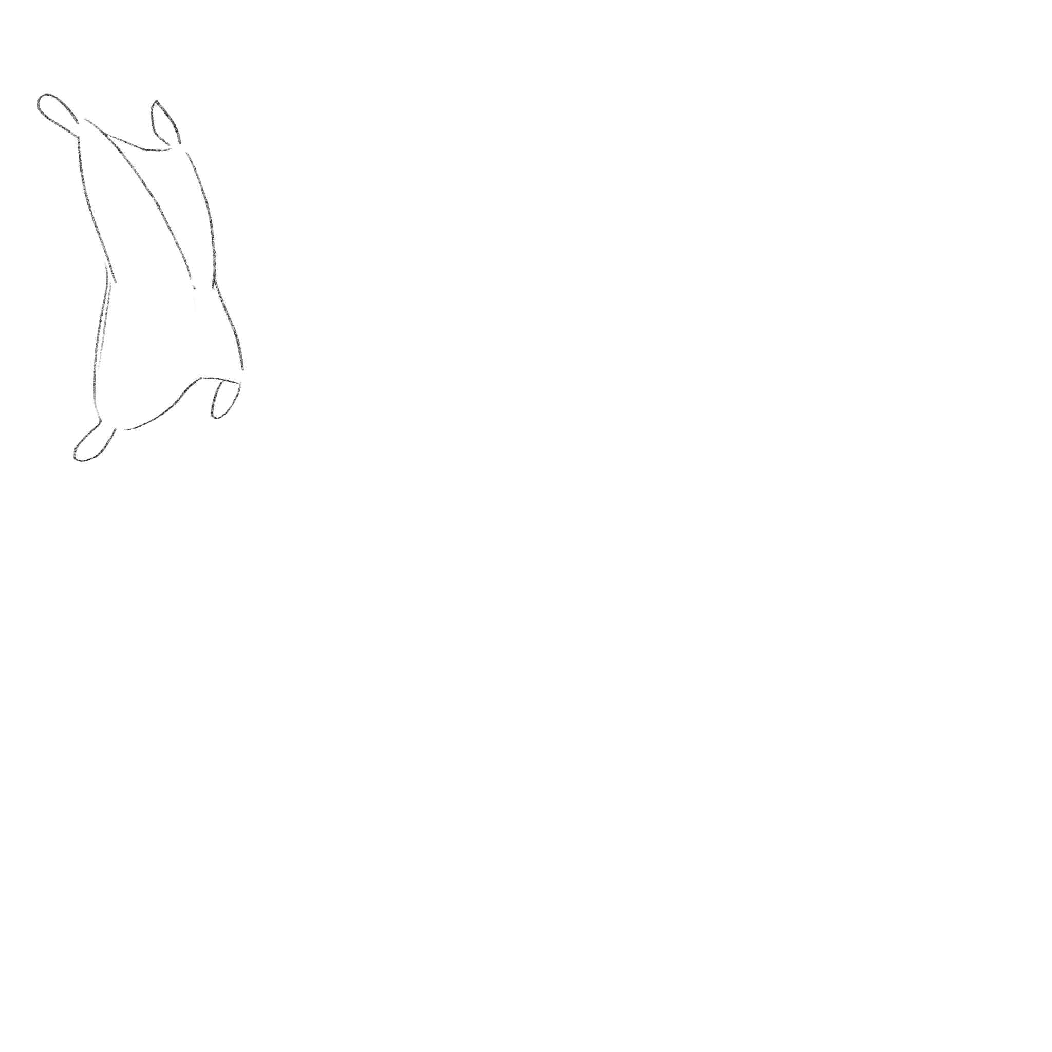 2D Animation Essentials Test - image 4 - student project