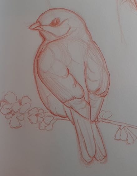 Bird Sketch - image 1 - student project