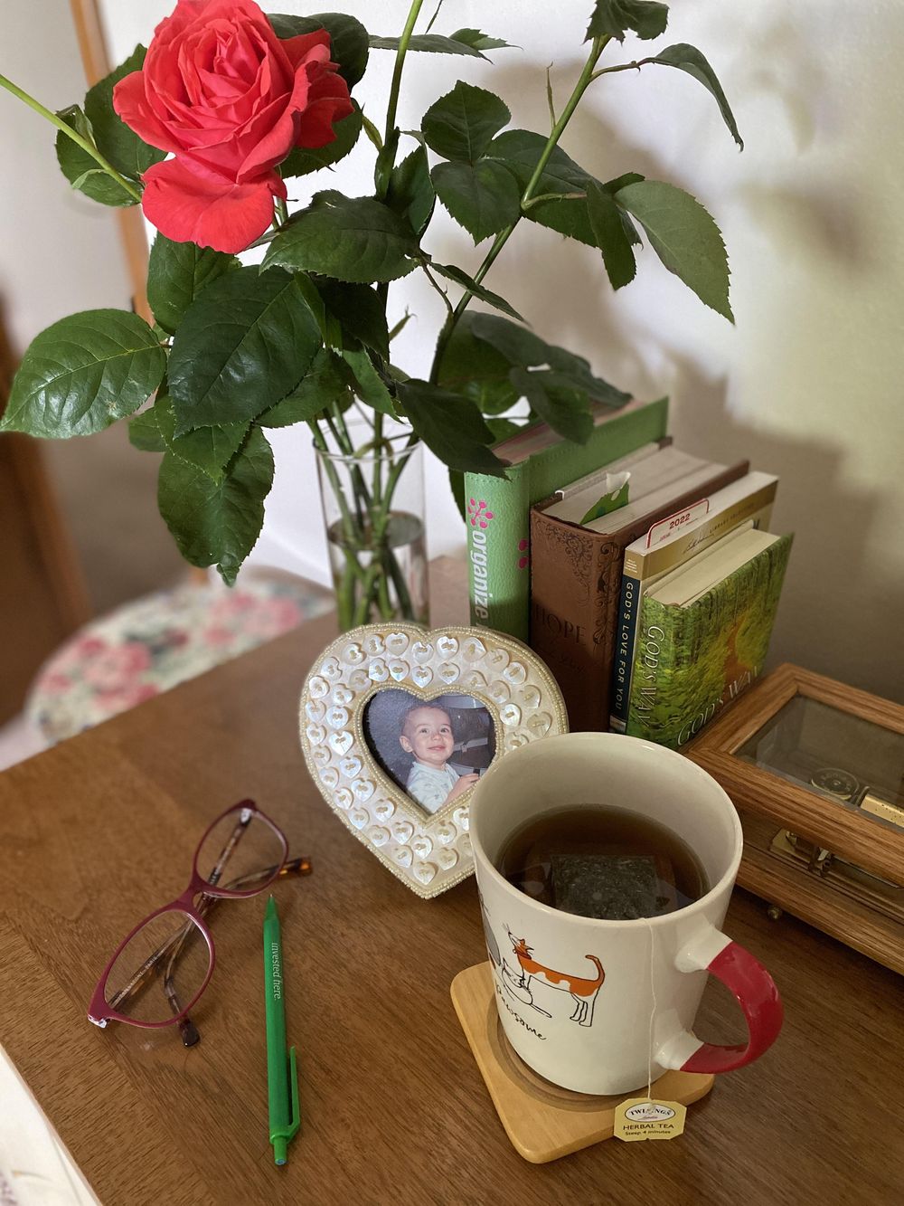 Still Life Photography - image 1 - student project