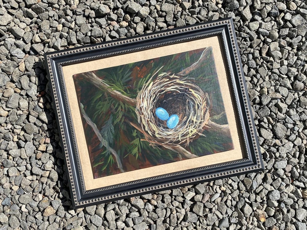 A Bird's Nest - image 1 - student project