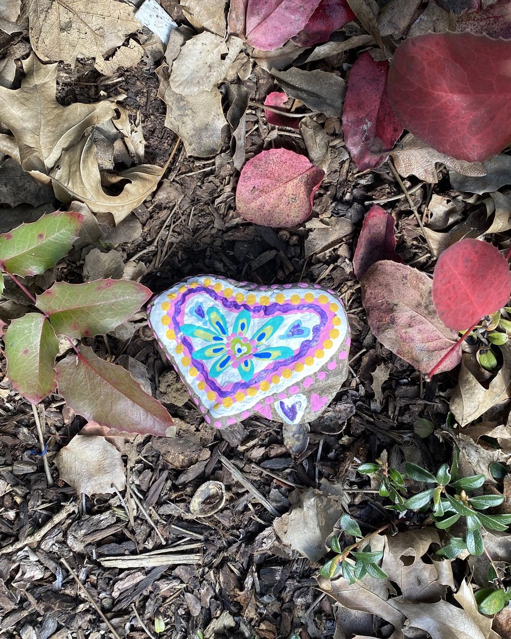 Kindness Rocks! - image 3 - student project