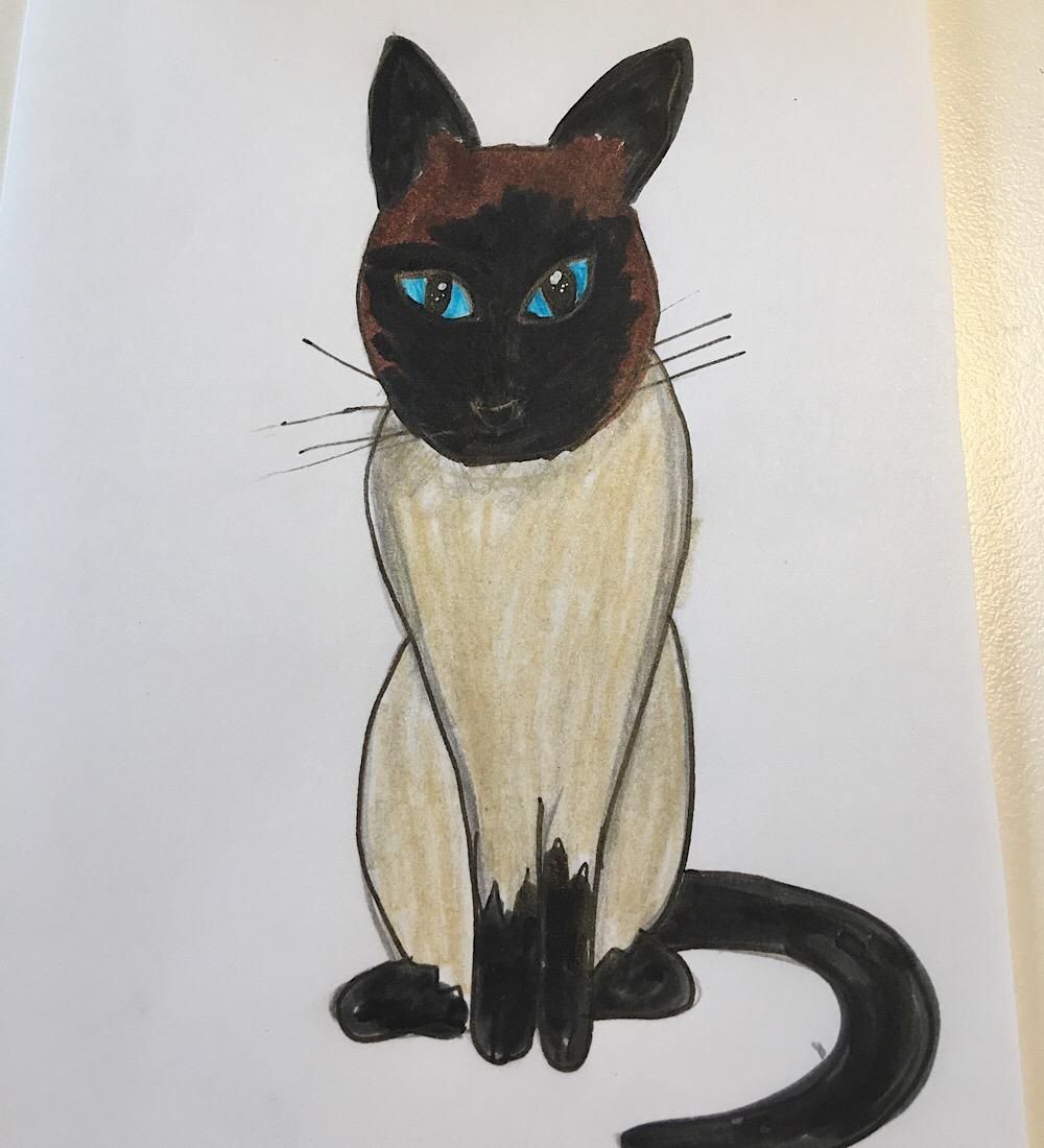 Cat on the move - image 8 - student project